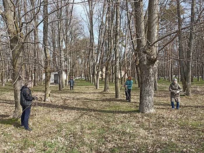 Субботник