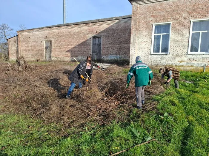 Чистое село