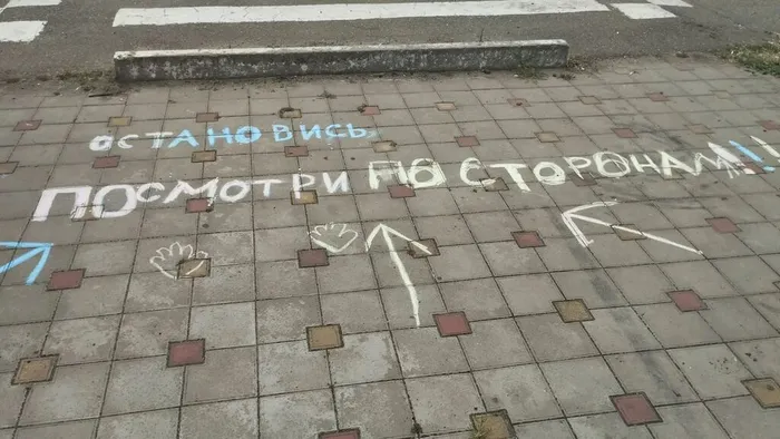 Знатоки дорожных правил