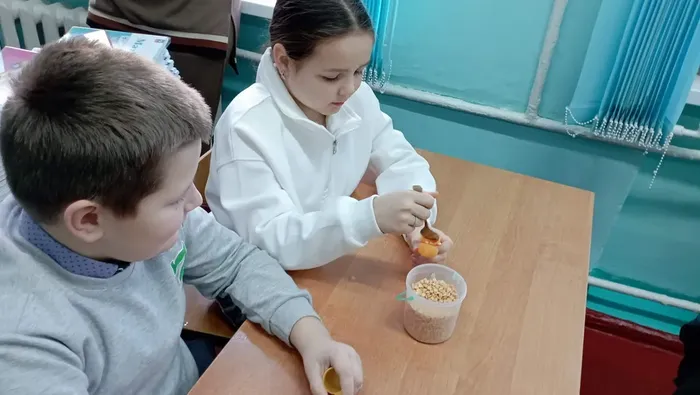 Культурный норматив школьника
