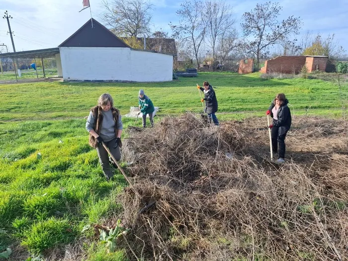Чистое село