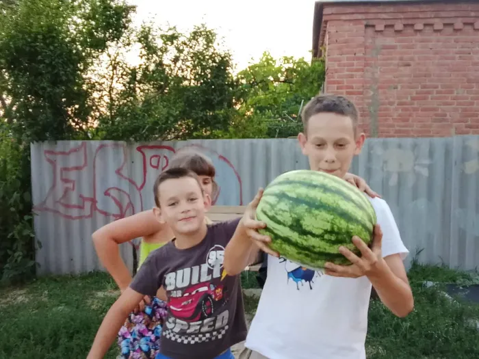 Весёлый арбузик
