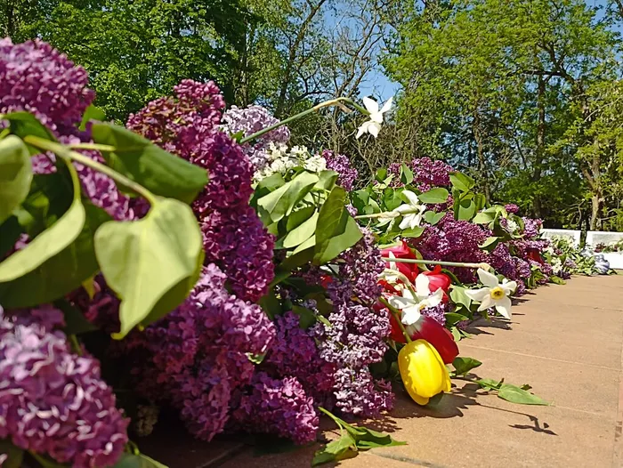 Живёт Победа в поколеньях